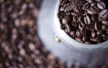 Molinillo de café: Eléctrico y tradicional
