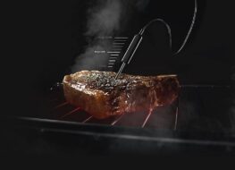 horno con sonda termica