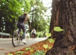 Movilidad sostenible