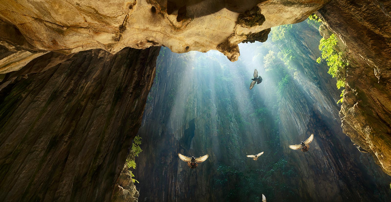 Calidad de imagen incomparable