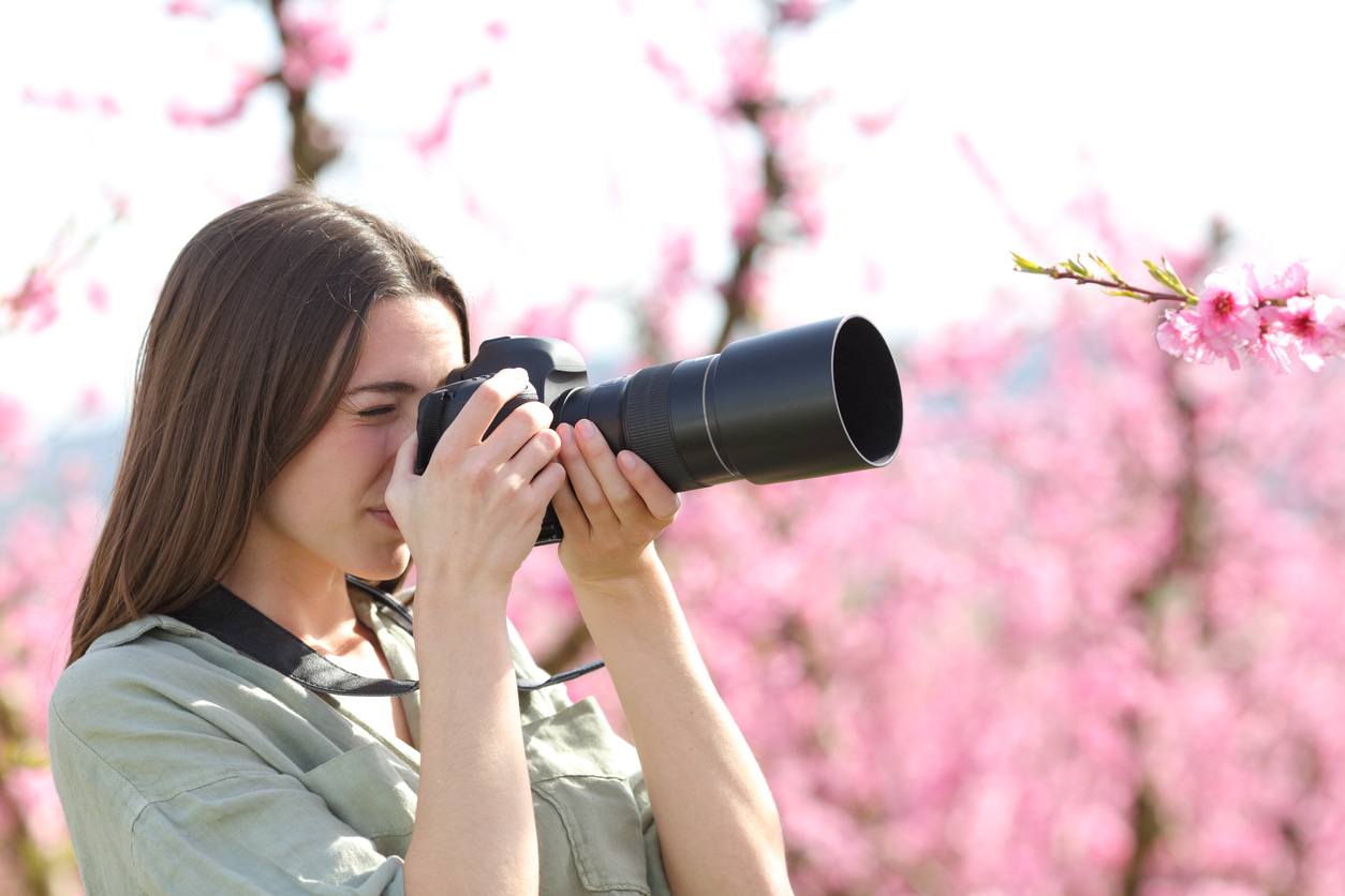 Una mujer toma fotos de las flores rosas de los almendros.